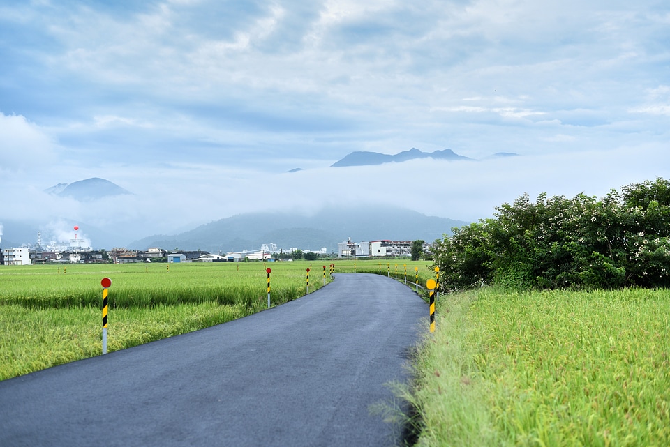 Small Roadway surrounded by grass