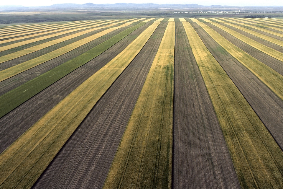 Strip Cropping on a farm