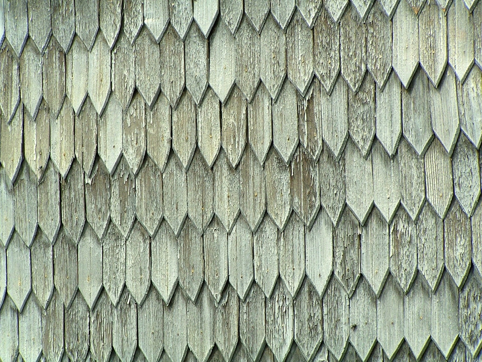 Grey gray symmetry