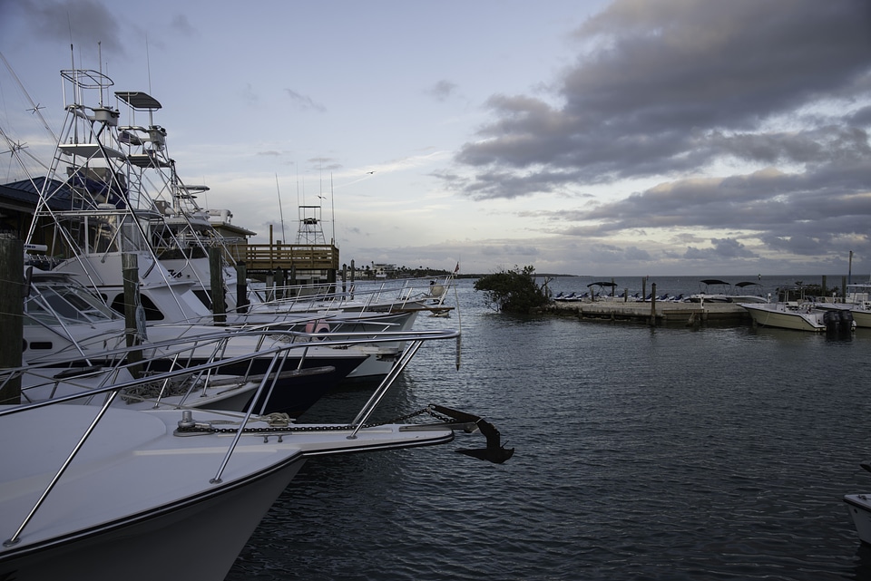 Boats in the Harbor in the Florida Keys