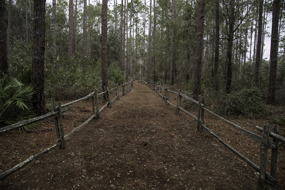 Path to Chesser Island Homestead 