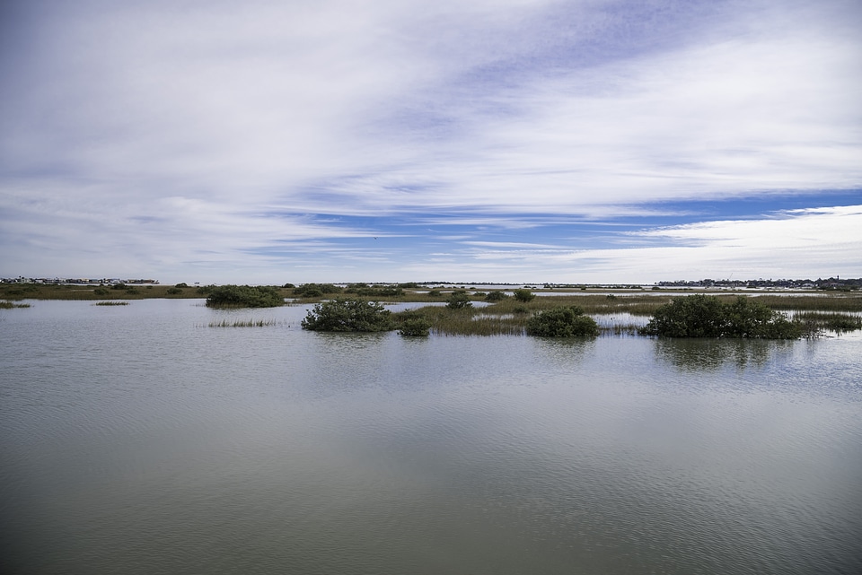 Marsh Lagoon Landscape in St. Augustine