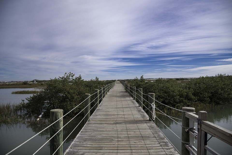Boardwalk Walkway into the Lagoon