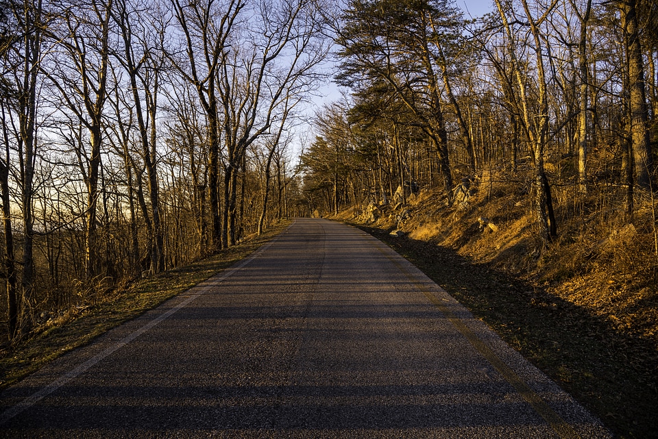 Road up the mountain at Cheaha State Park