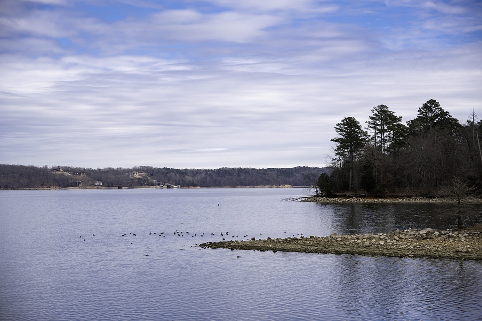Shoreline and Water landscape of Pickwick Lake