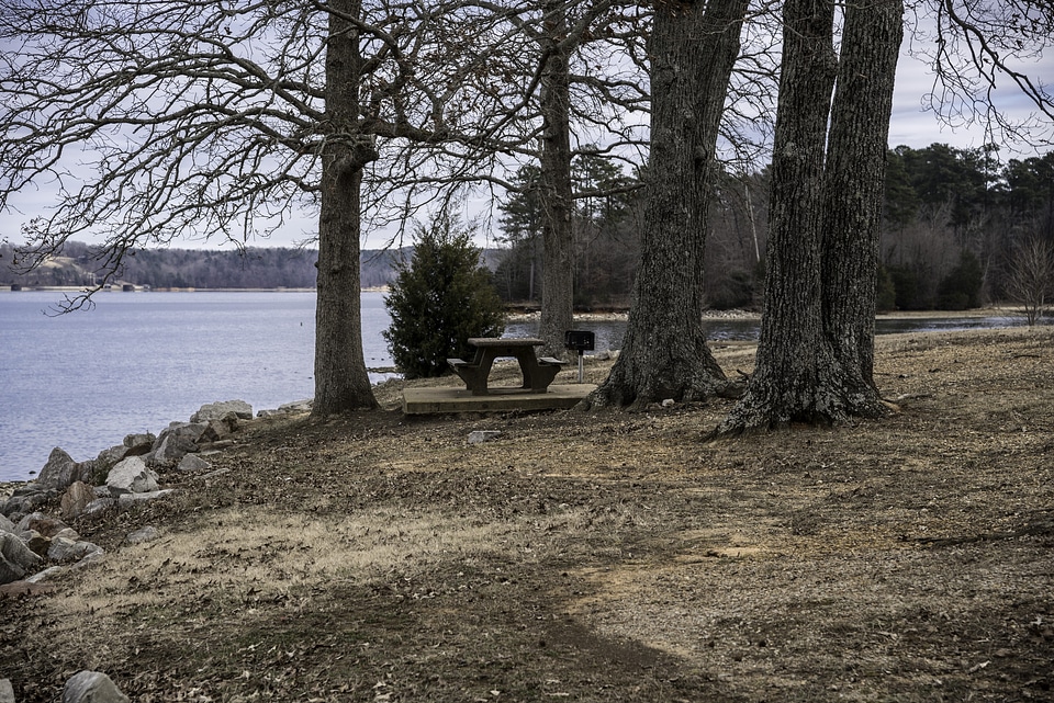 Trees, bench. and shoreline of Pickwick Lake