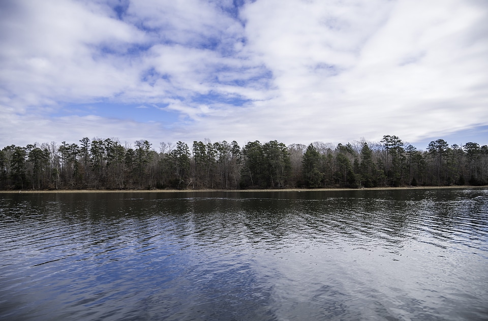 Island with trees at Pickwick Lake