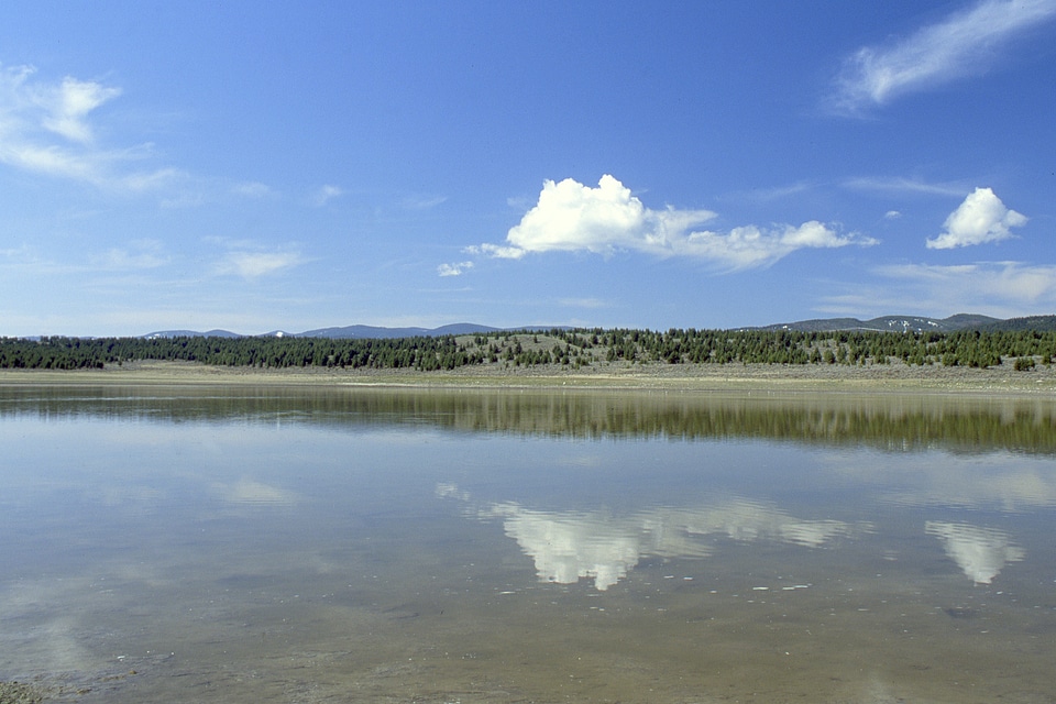 Wetlands and Ponds under the blue sky photo