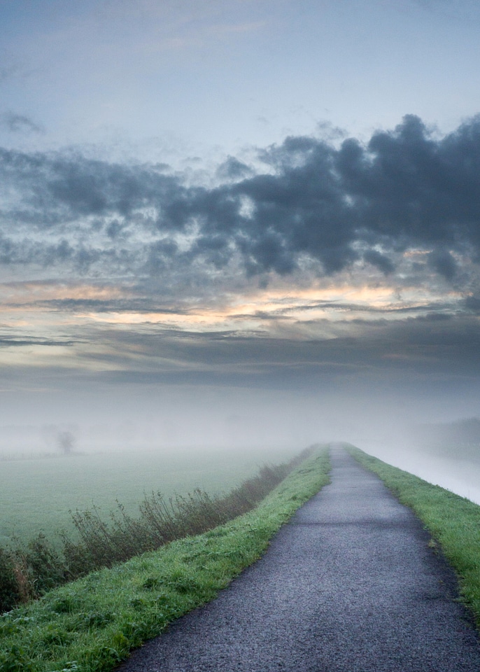 Foggy Path landscape 