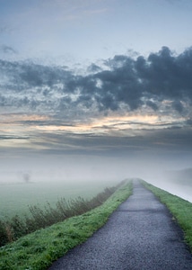 Foggy Path landscape photo