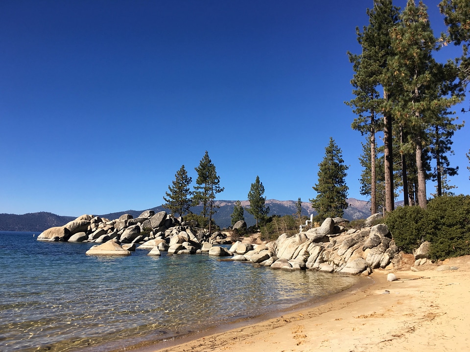 Forest on a Beach landscape in Lake Tahoe, Nevada