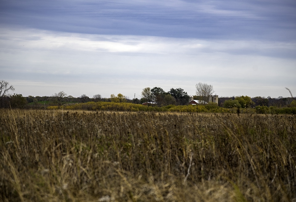Grass and landscape with farmhouse at Faville Grove