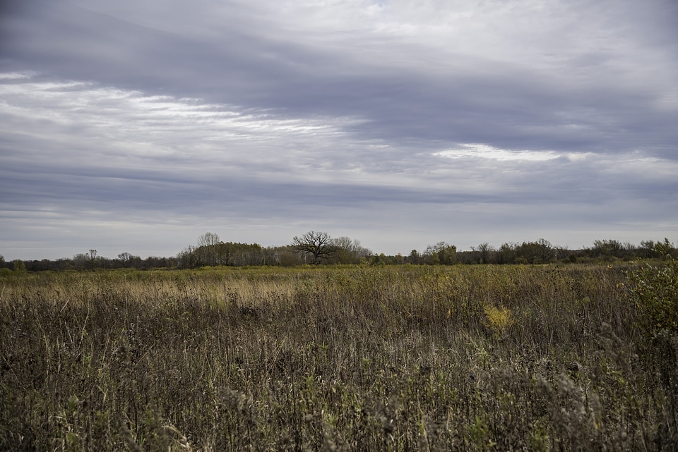 Cloudy Prairie Landscape at Faville Grove