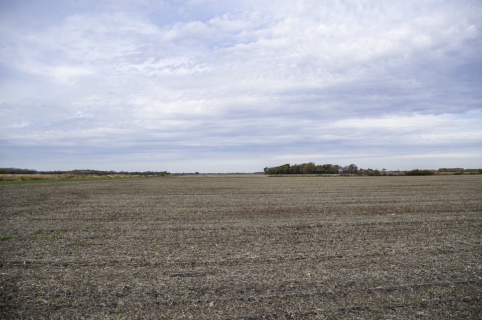 Fallow Fields landscape under the skies at Faville Grove