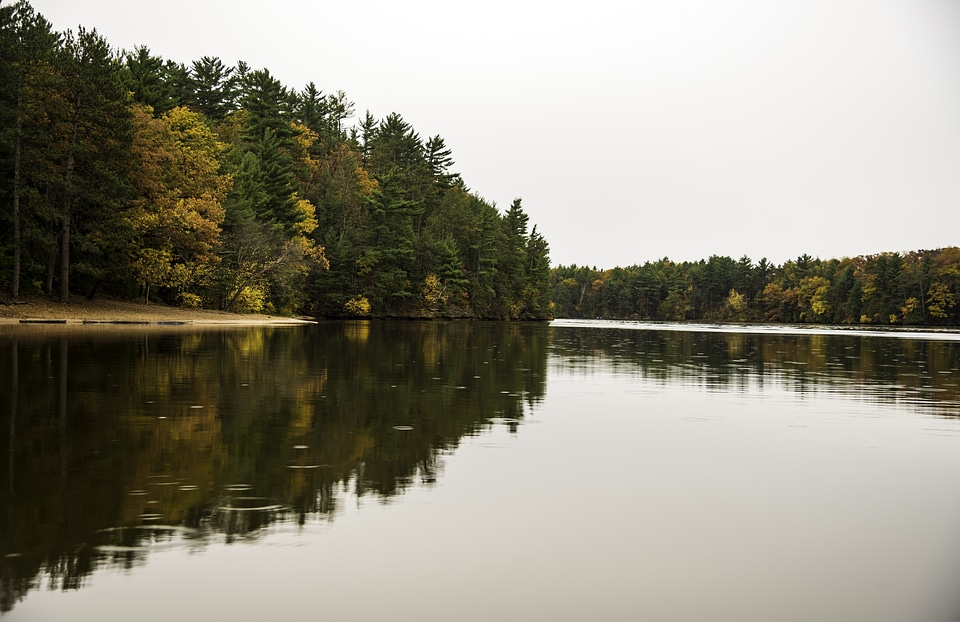 Autumn Trees on the shoreline of the Wisconsin River