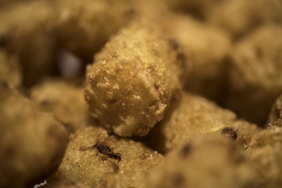 Close-up of tater tots