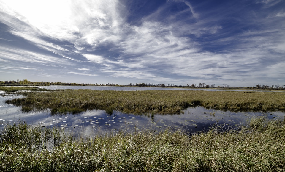 Afternoon Landscapes with clouds in the sky at Crex Meadows