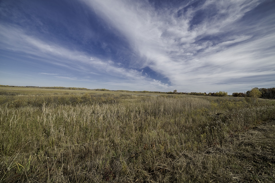 Grassland and Marsh landscape under sky and clouds at Crex Meadows photo