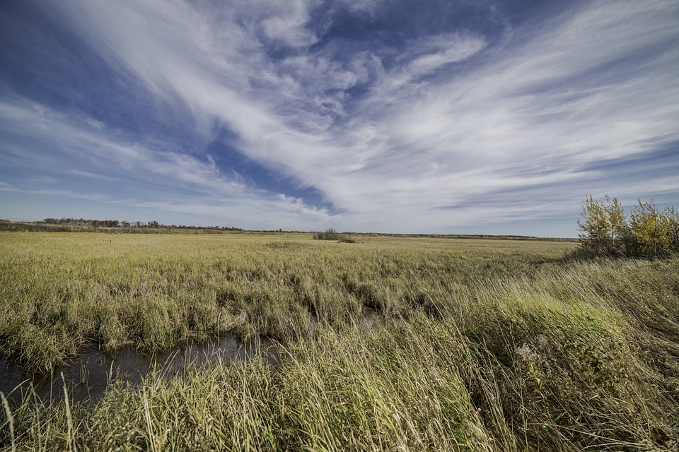 White clouds and blue sky over the Marshes at Crex Meadows