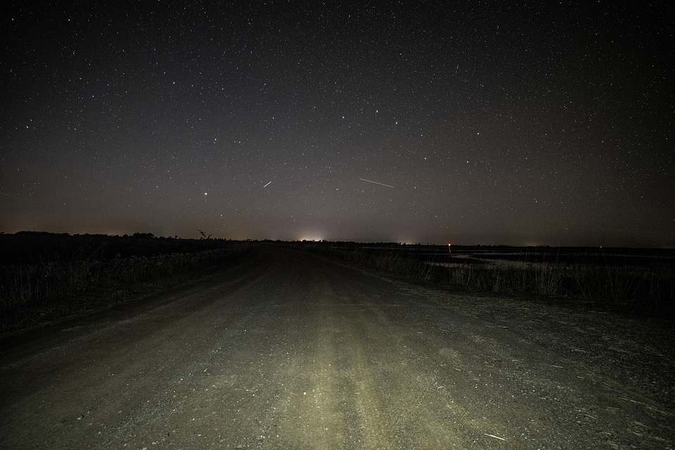 Stars above the path at Crex meadows photo