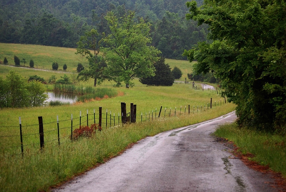 Trail and landscape in Kentucky