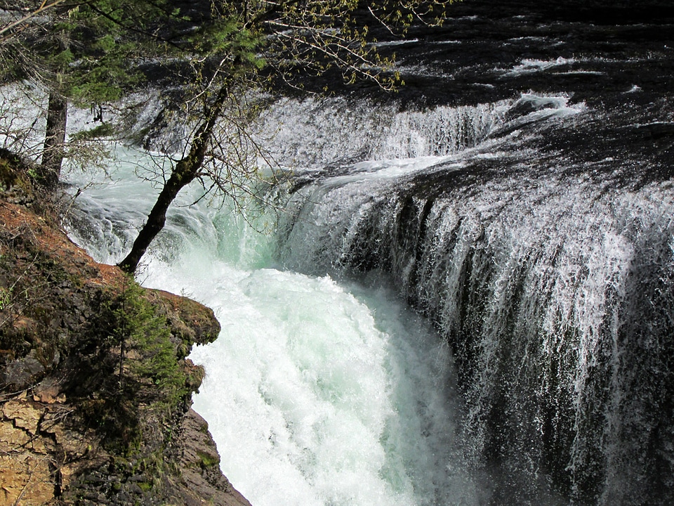 Lower Lewis River Falls
