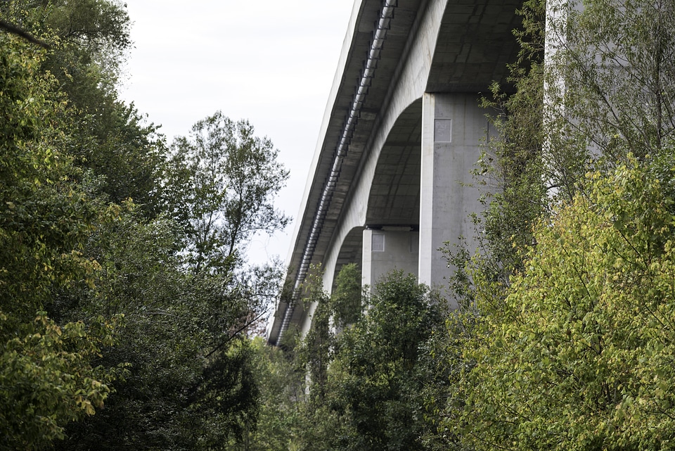 Bridge and Trees at Creve Coeur Lake