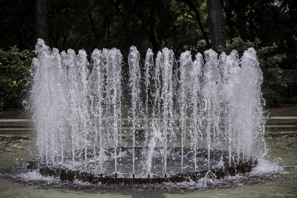 Water Fountain at Botanical Gardens