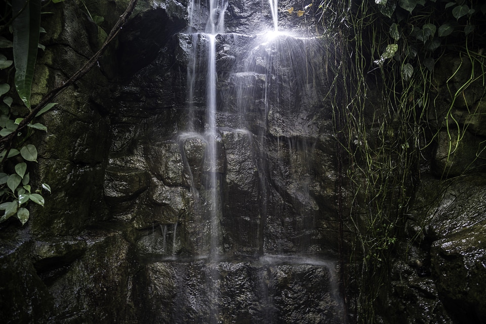 Waterfall inside the Greenhouse at Olbrich Botanical Gardens