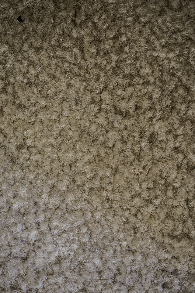 Rough Carpet Texture