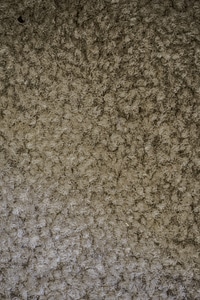Rough Carpet Texture photo