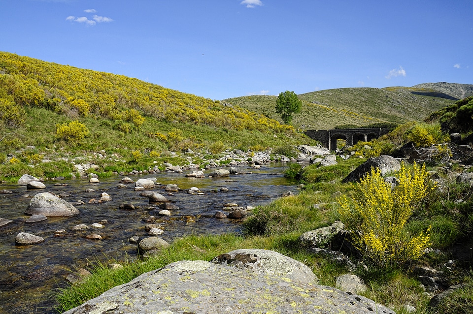 Stream and River landscape in Montana