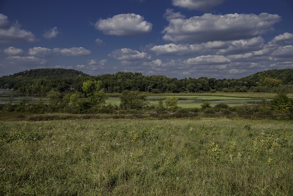 Landscape and Algae covered Wisconsin River