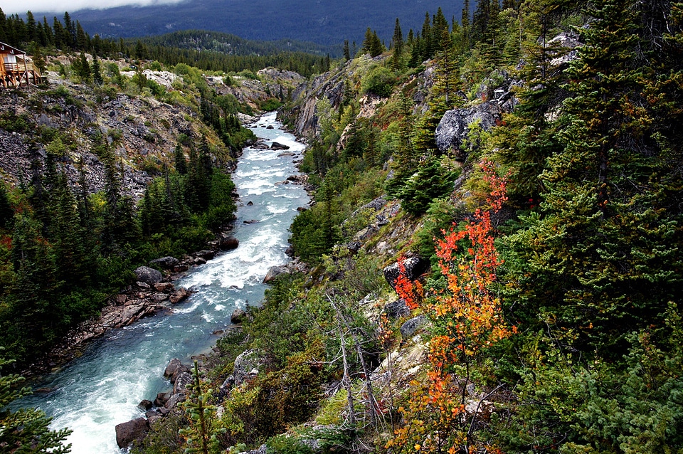 Beauty of the Yukon Outdoors