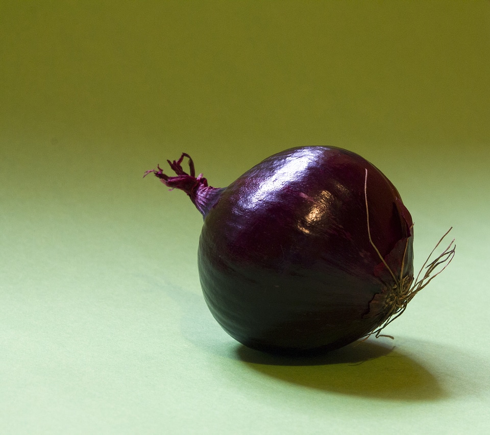 Zwiebelpflanze cook red onion