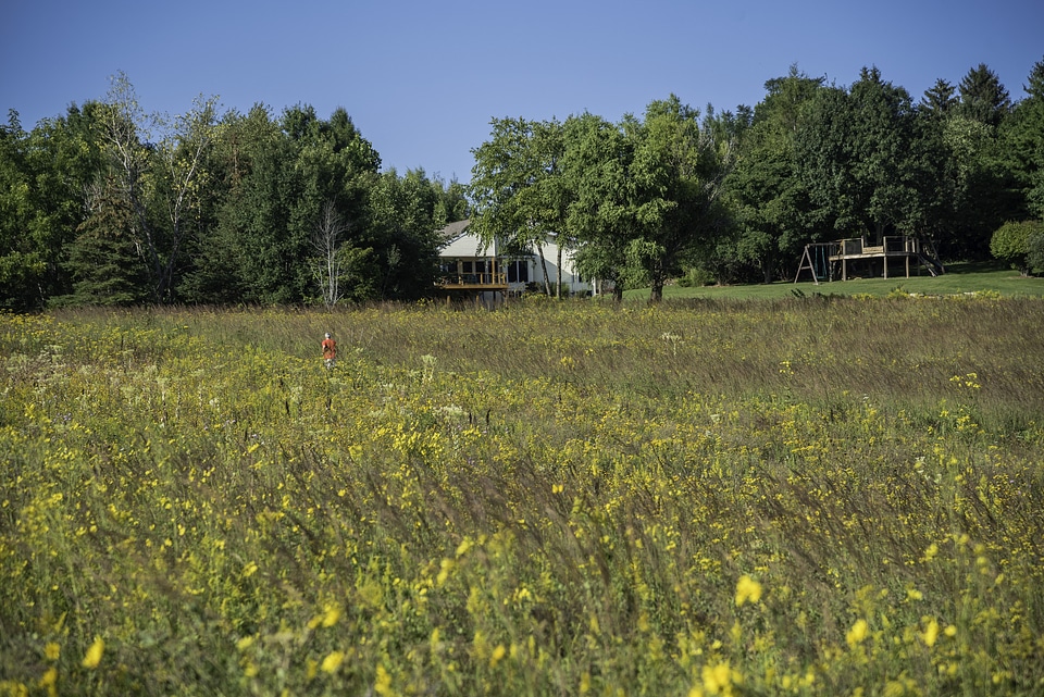 Person walking through the grass and flowers at Cherokee Marsh