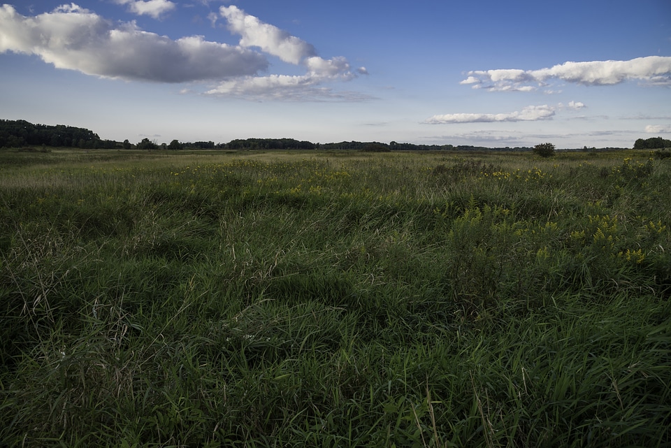 Landscape View of Cherokee Marsh under the sky photo