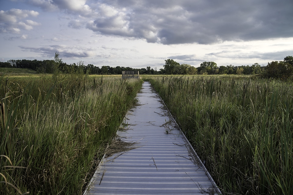 Long Boardwalk within Cherokee Marsh