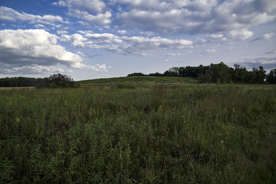 Hills in the distance among the Marsh Grasses at Cherokee Marsh