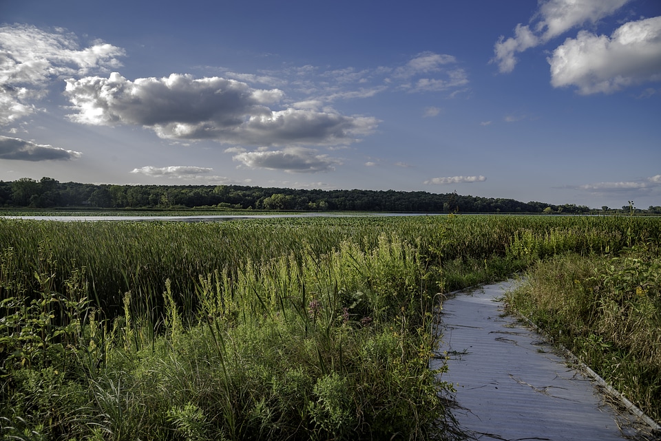 Boardwalk into the Marsh at Cherokee Marsh