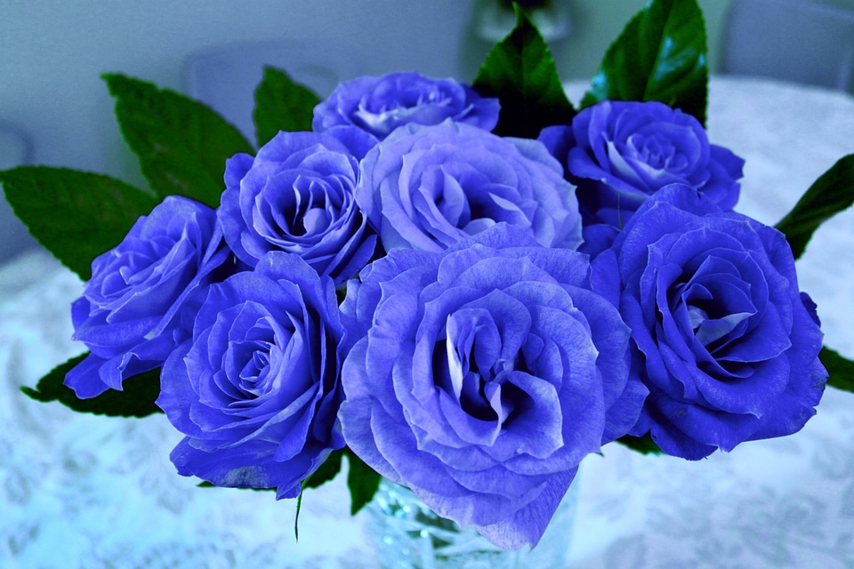 Bouquet blue romance