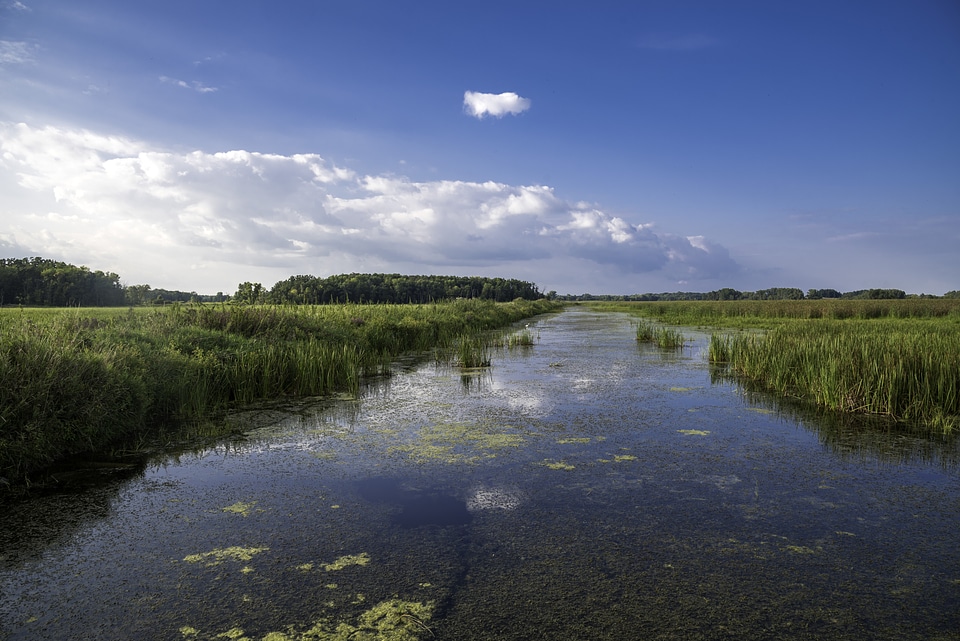 Channel landscape in Horicon Marsh