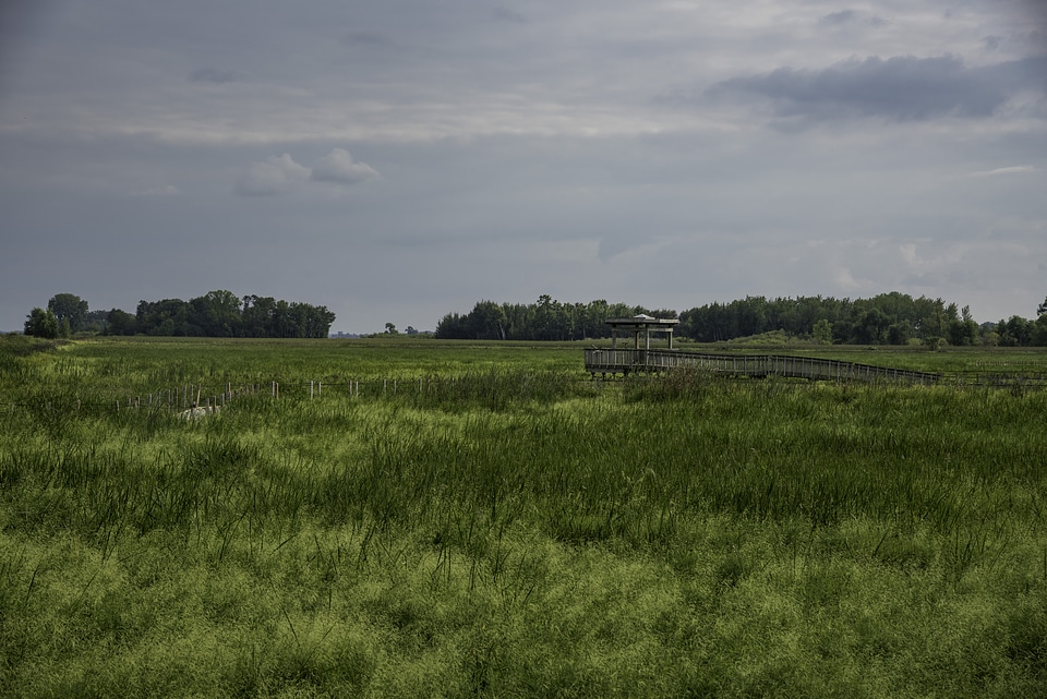 Gazebo and birding place at Horicon Marsh