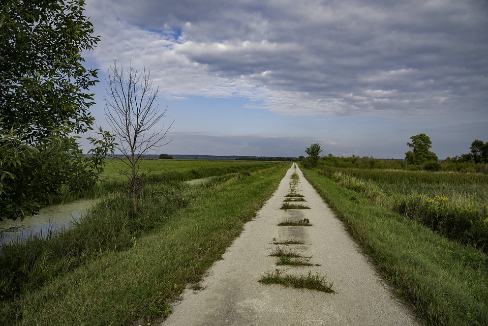 Old Marsh Road landscape under the sky