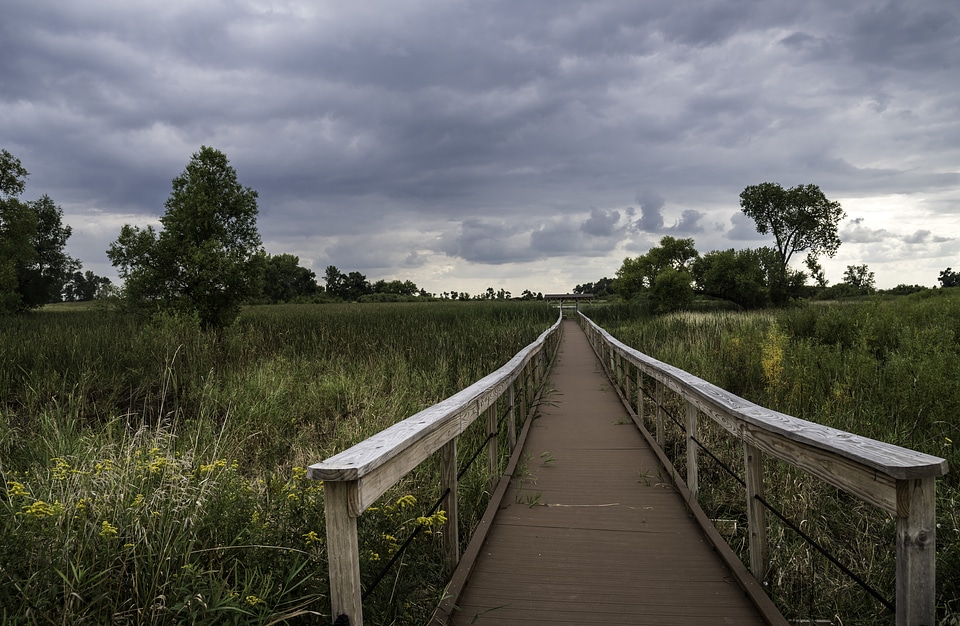 Boardwalk Walkway at Horicon Marsh