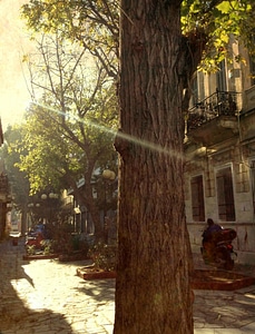Light shining on city and trees in Athens