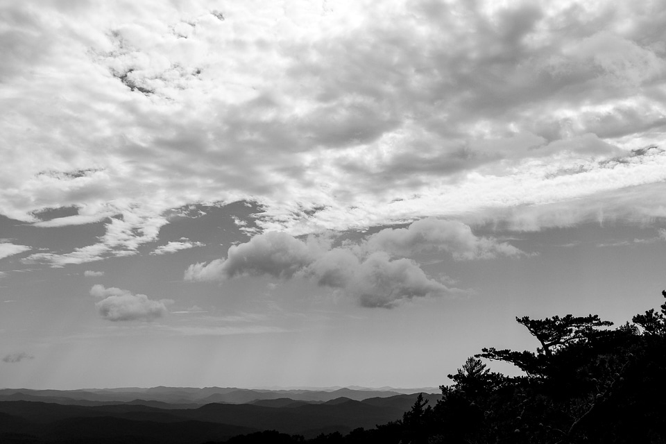 Black and White Photo of Pisgah National Forest