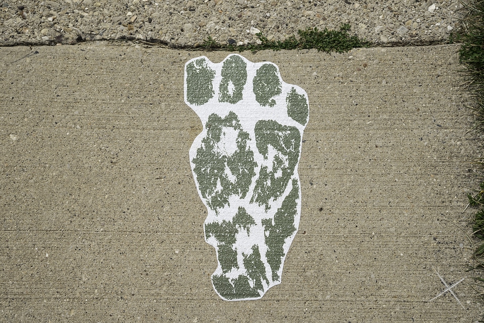 Troll Footprint on the sidewalk in Mount Horeb