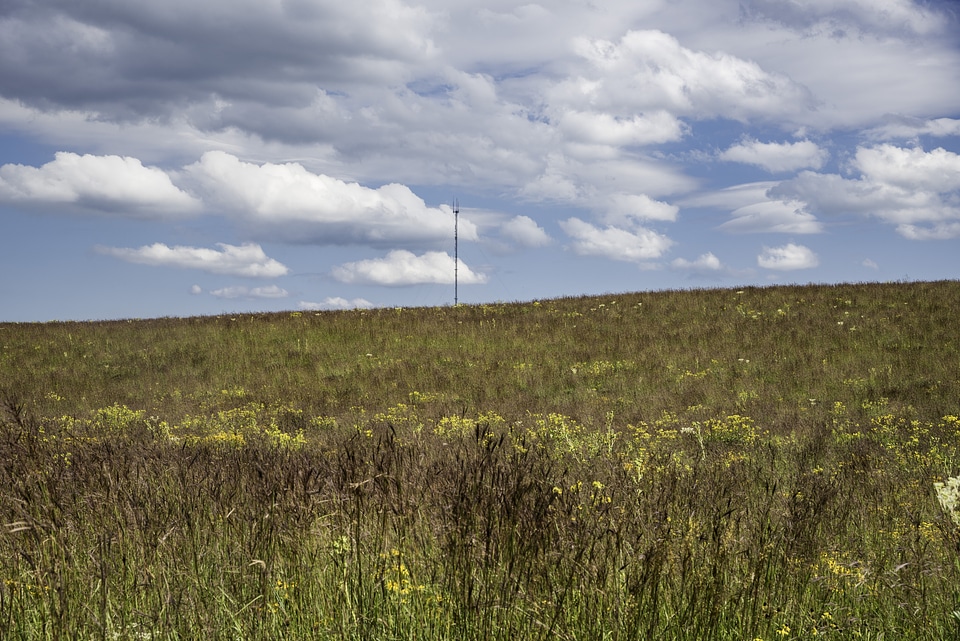 Field under cloud and sky