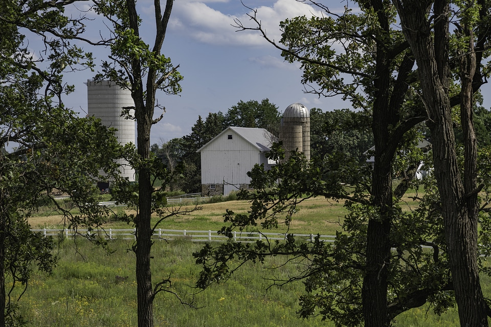 Farmhouse and Silo through the trees